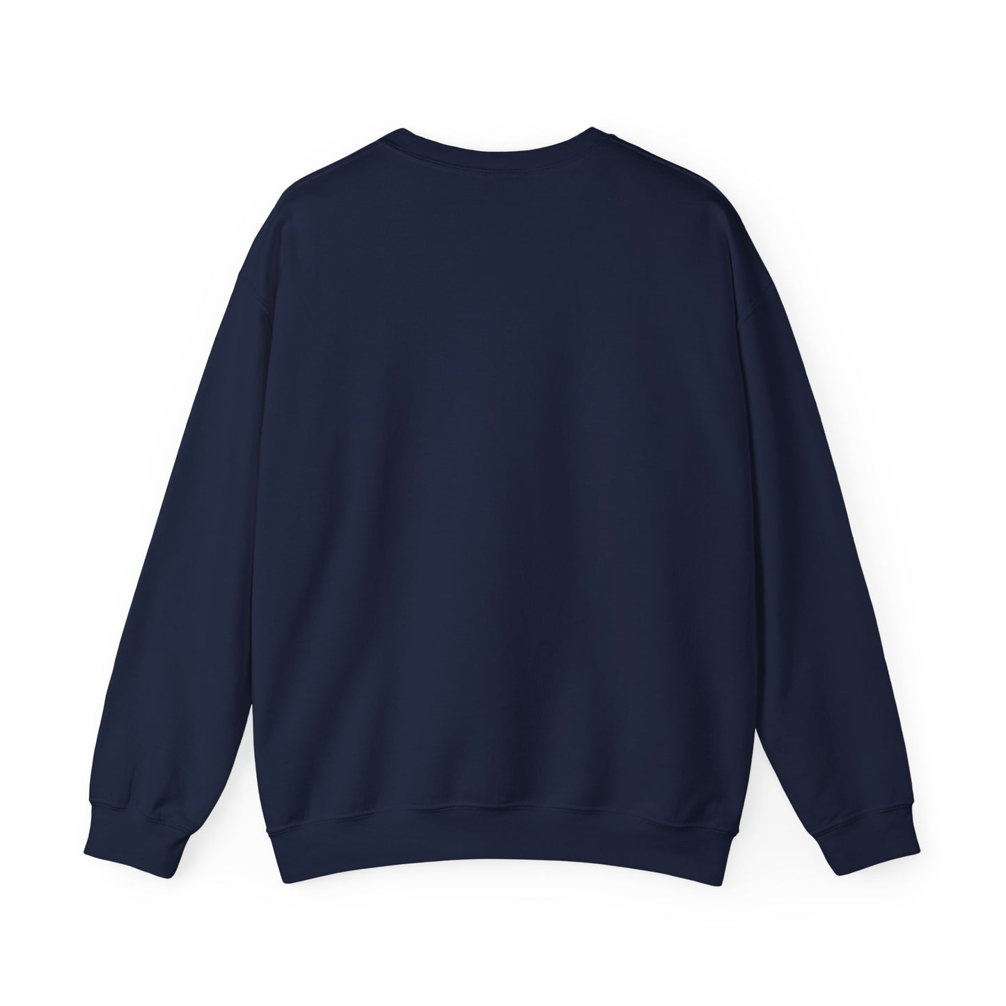Scenic Minnesota Sweatshirt, Cozy Crewneck, Nature Lover Gift, Unisex Apparel, Vintage Travel Design, Comfortable Layering