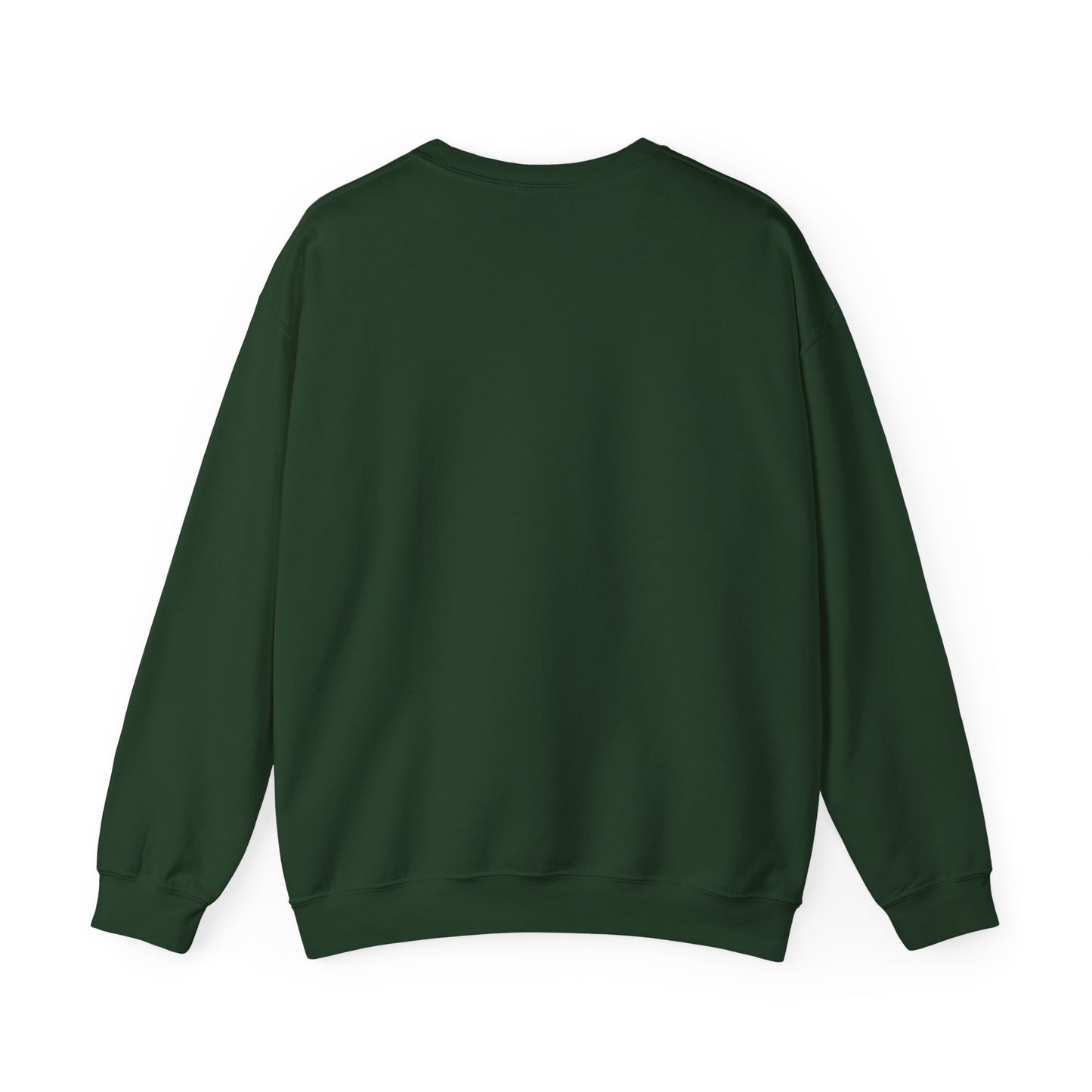Scenic Minnesota Sweatshirt, Cozy Crewneck, Nature Lover Gift, Unisex Apparel, Vintage Travel Design, Comfortable Layering