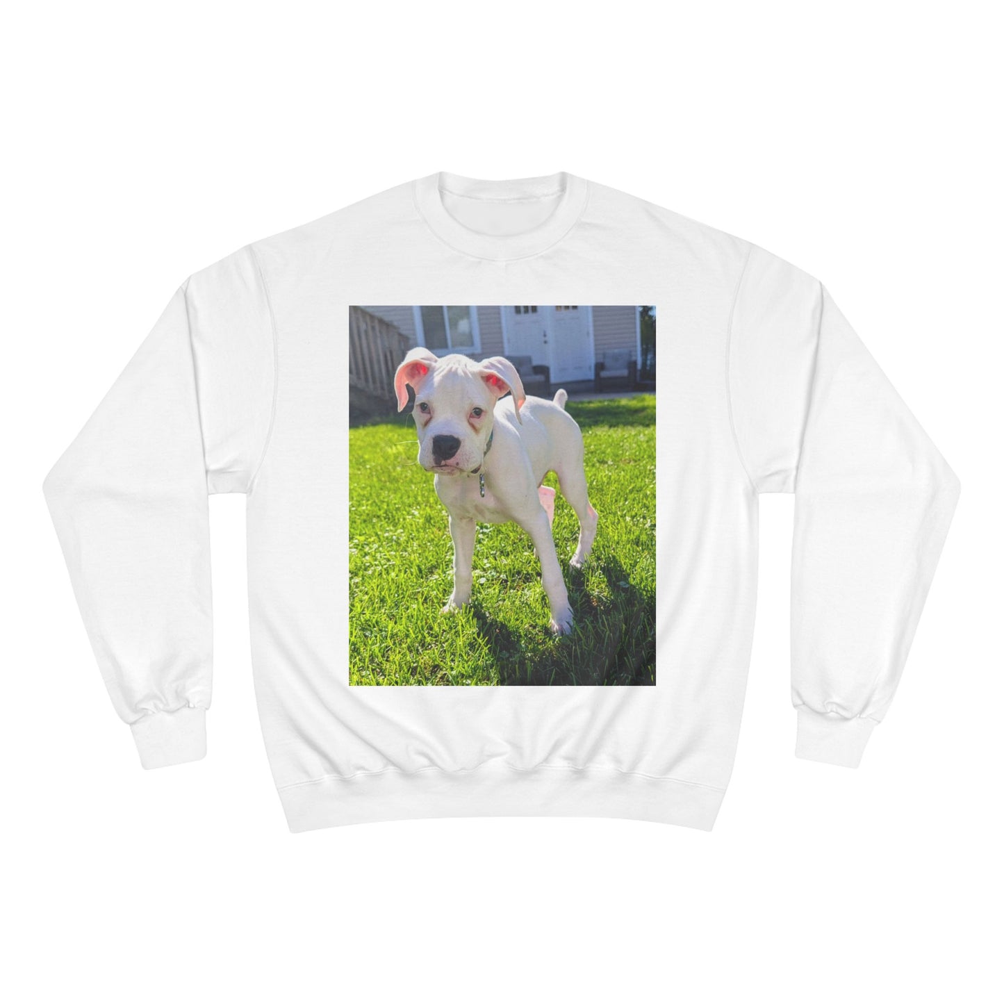 Boxer Dog Champion Sweatshirt, Pet Lover Gift, Cute Dog Apparel, Boxers Sweatshirt, Animal Lover Fashion