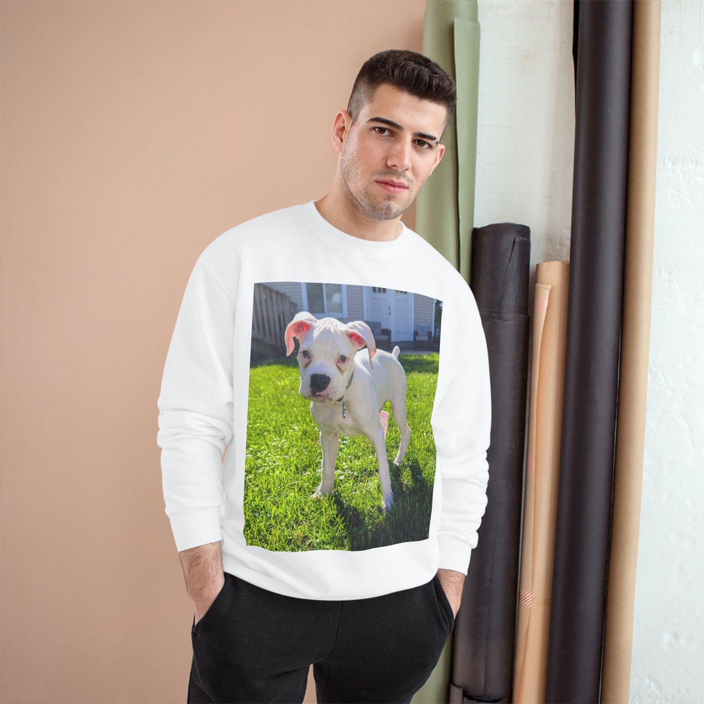 Boxer Dog Champion Sweatshirt, Pet Lover Gift, Cute Dog Apparel, Boxers Sweatshirt, Animal Lover Fashion